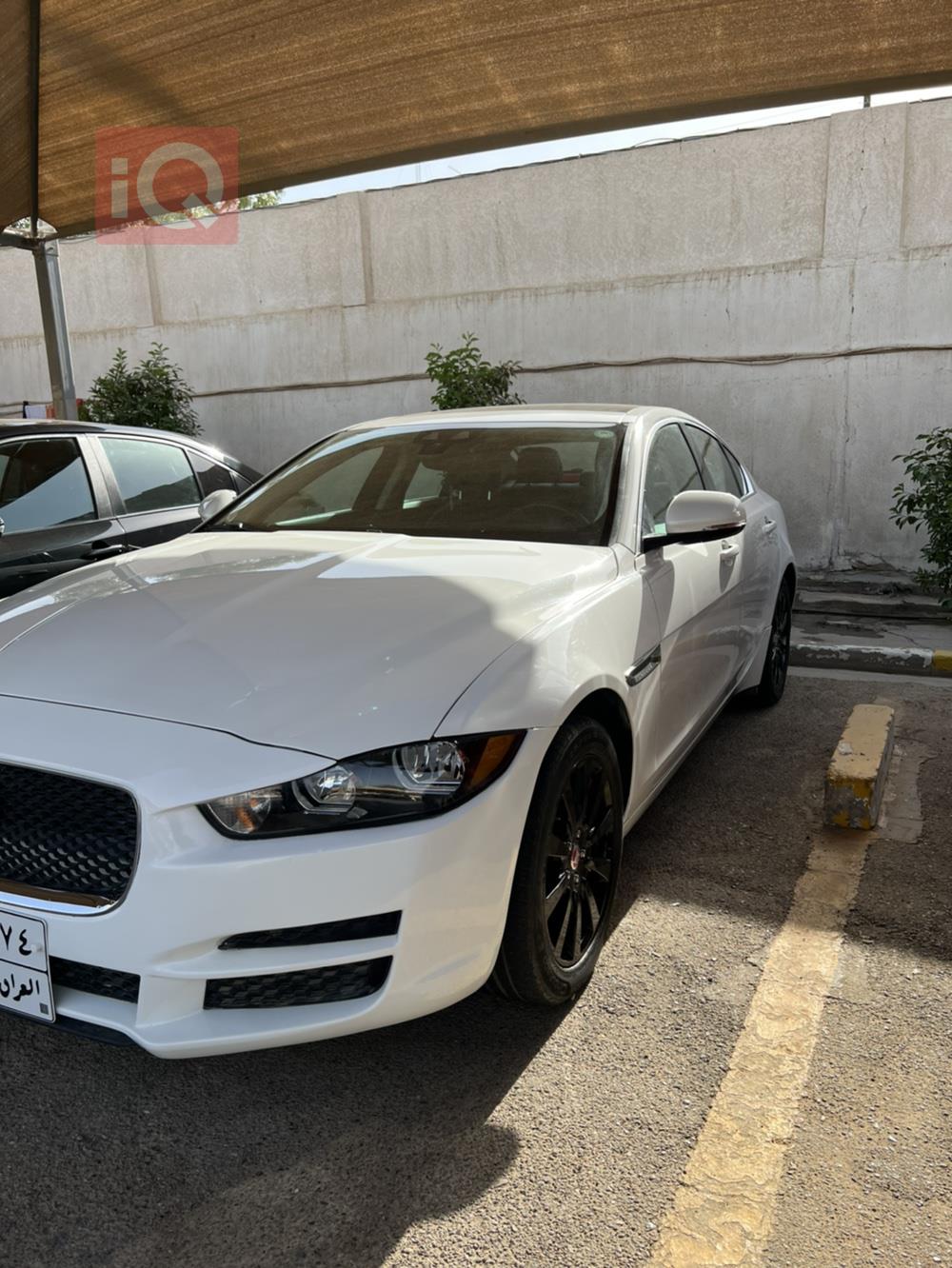 جاكوار XE
